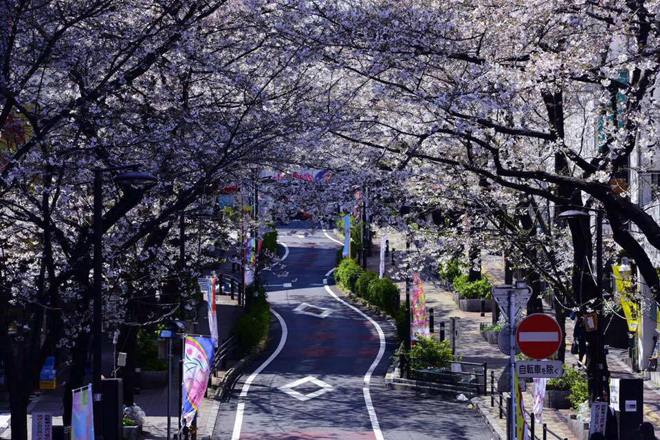 17862713_1631190740254771_3092709323658908696_n