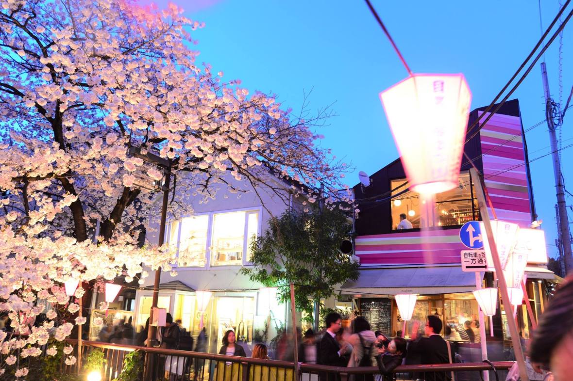 19237958_1813026905692966_6389899463729742990_o