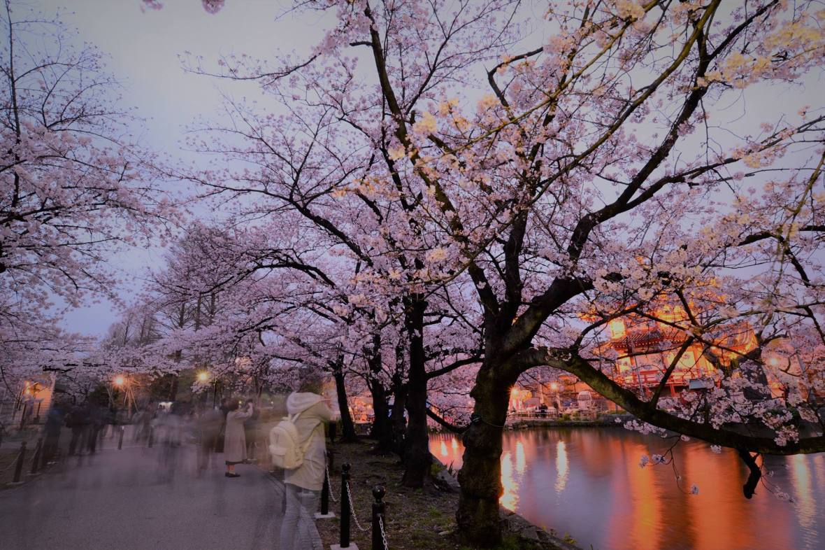 19441748_1813026609026329_5564809217405683662_o