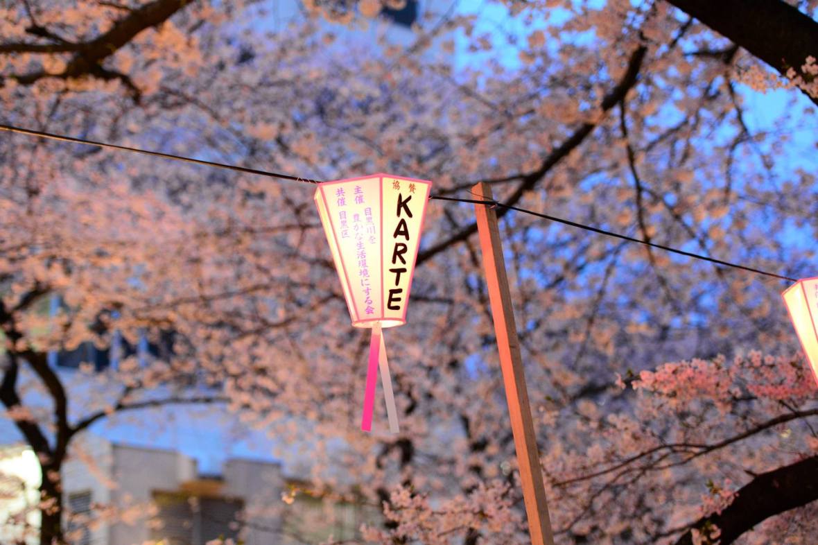 19452885_1813026775692979_4237486369583522240_o