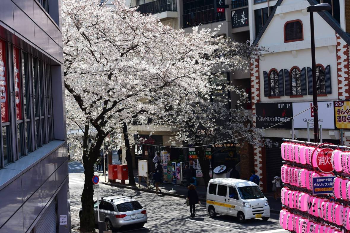 20626772_1836613446667645_2482022416613700121_o (1)