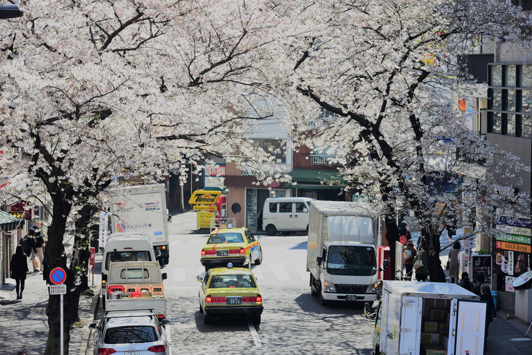 20626930_1836613510000972_5576010790528199306_o