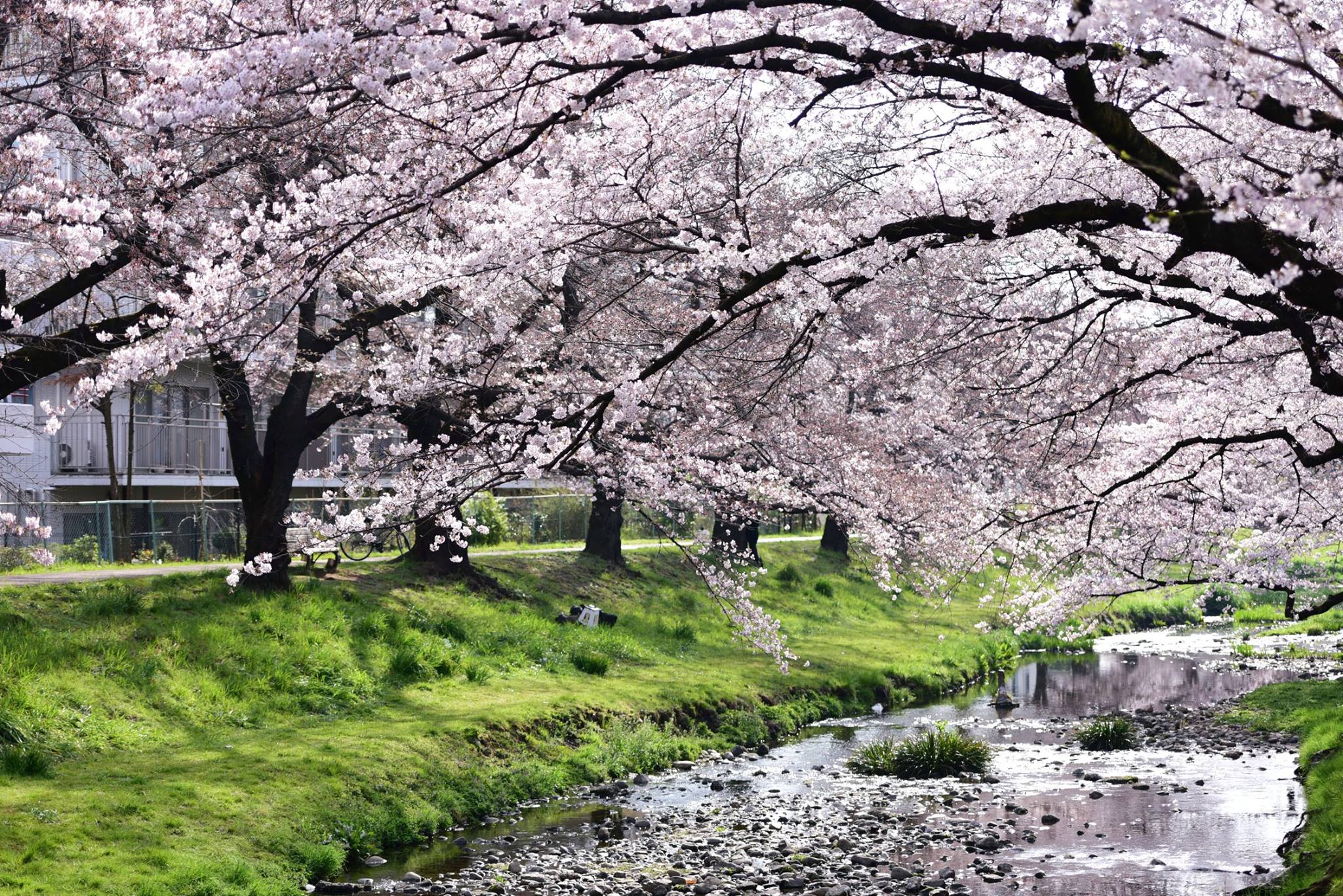 27164067_1917468488582140_104379845993140628_o