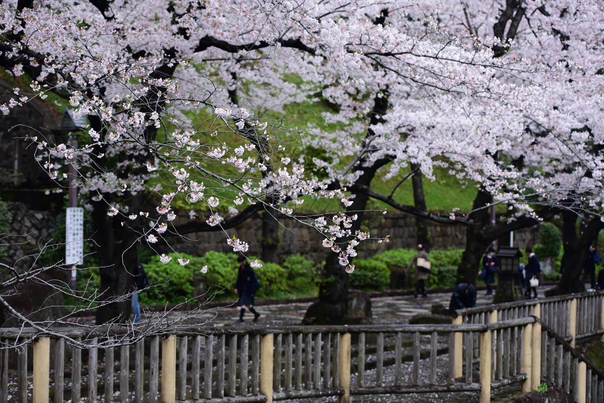 27500634_1921148564880799_6492536479119803990_o