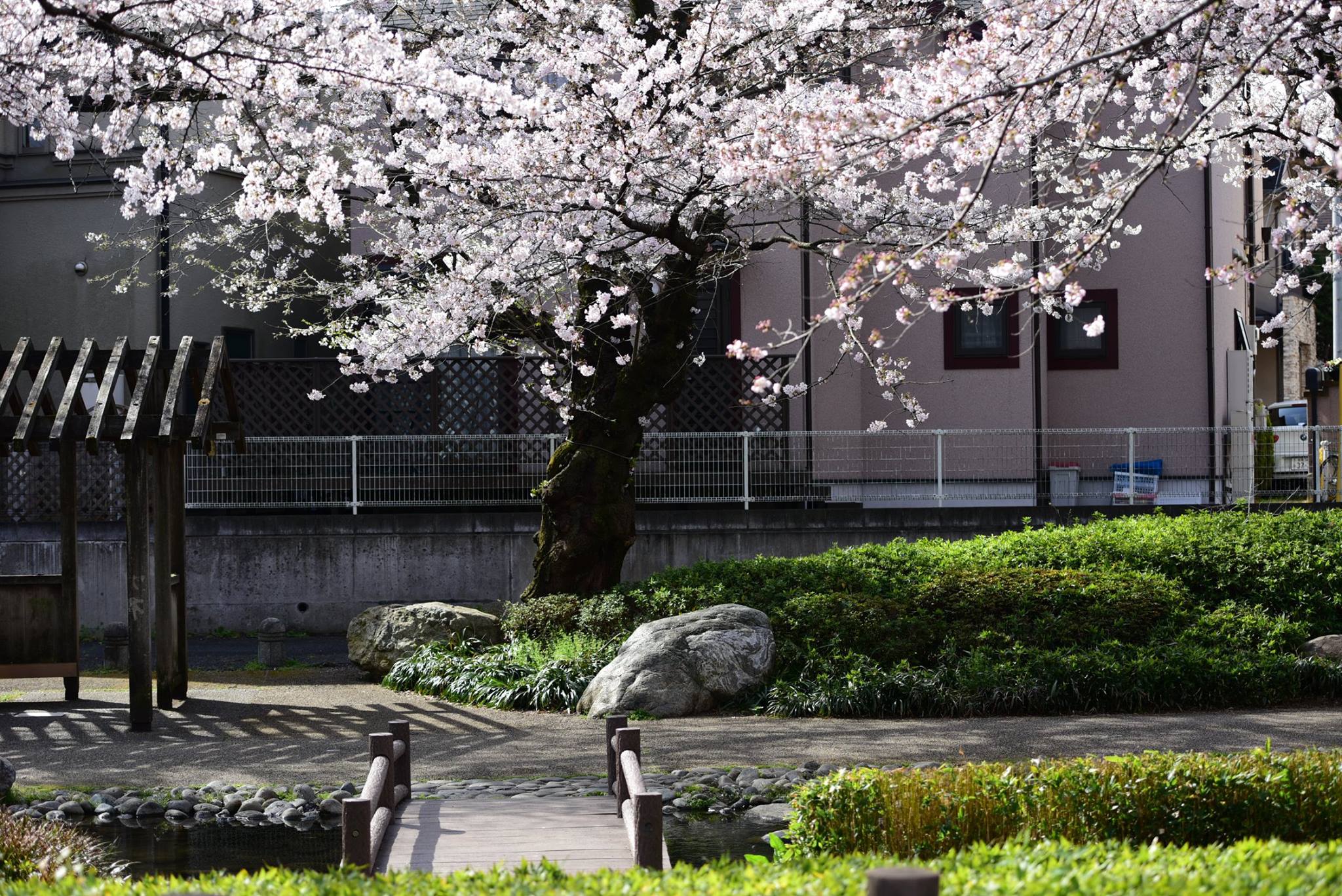 27503260_1917468605248795_3285808629826140259_o