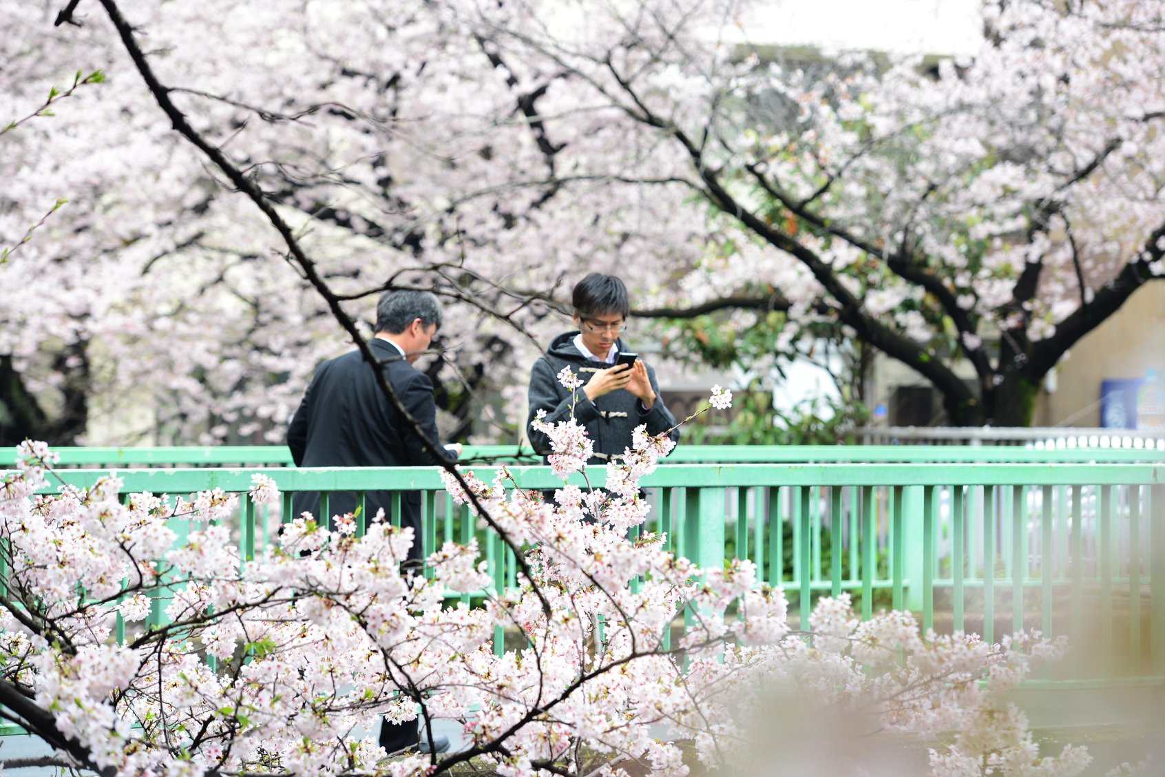 27503548_1921127048216284_8980931620580823212_o