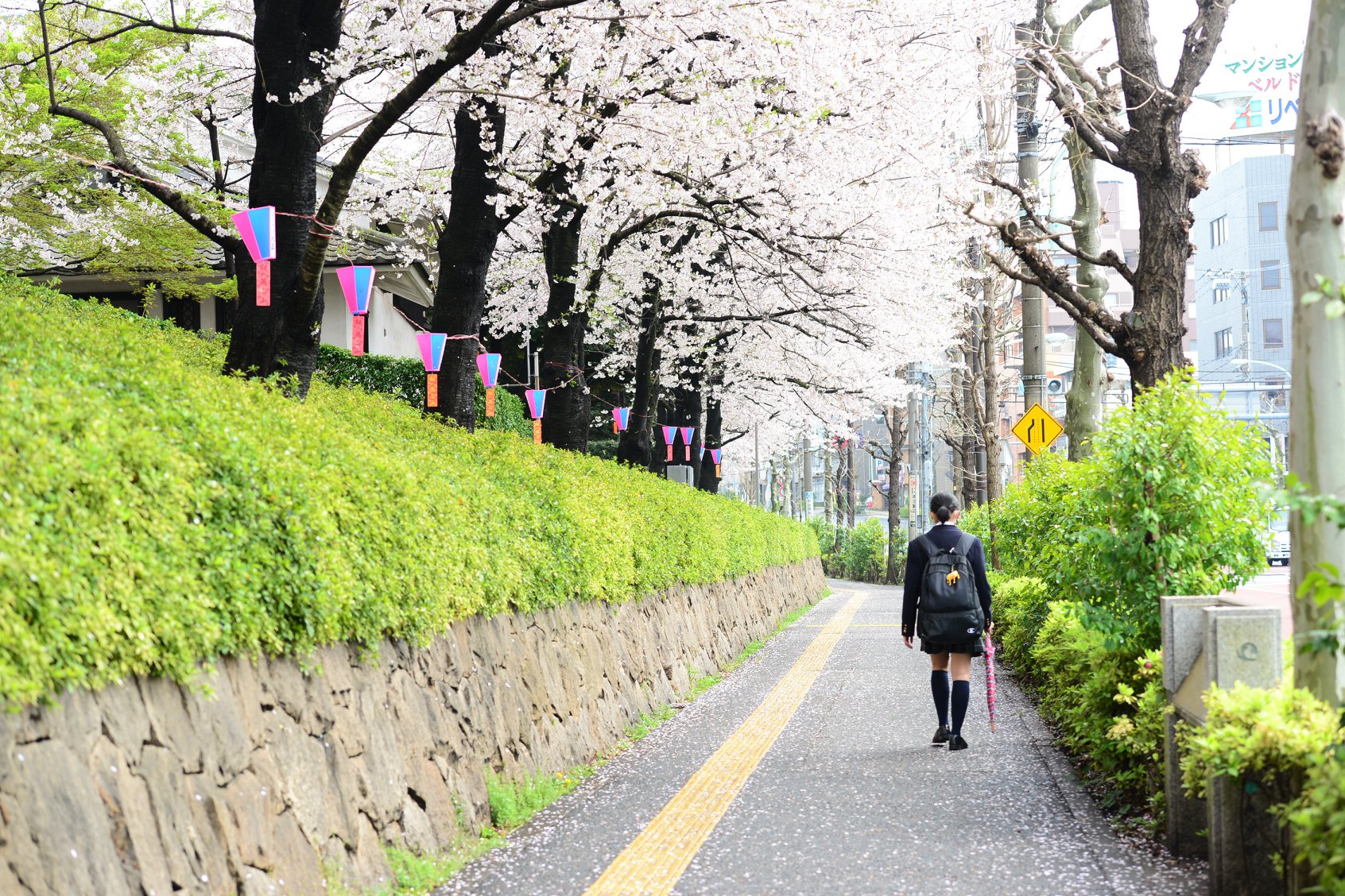 27504002_1921127188216270_1415303797911995069_o