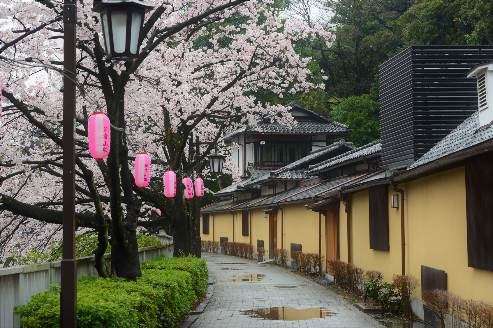 27624972_1921126928216296_8482710841054849136_o