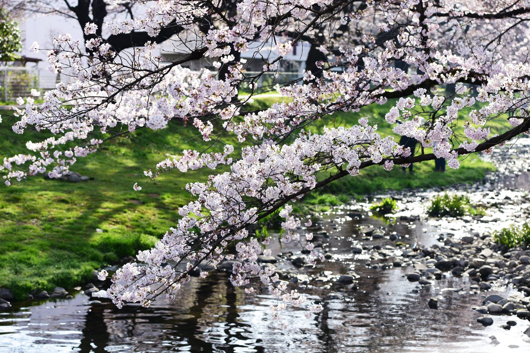 27625141_1917468311915491_5131011119377237862_o