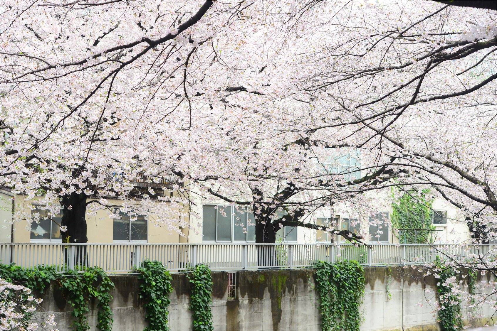 27628559_1921127084882947_3289132557687456229_o