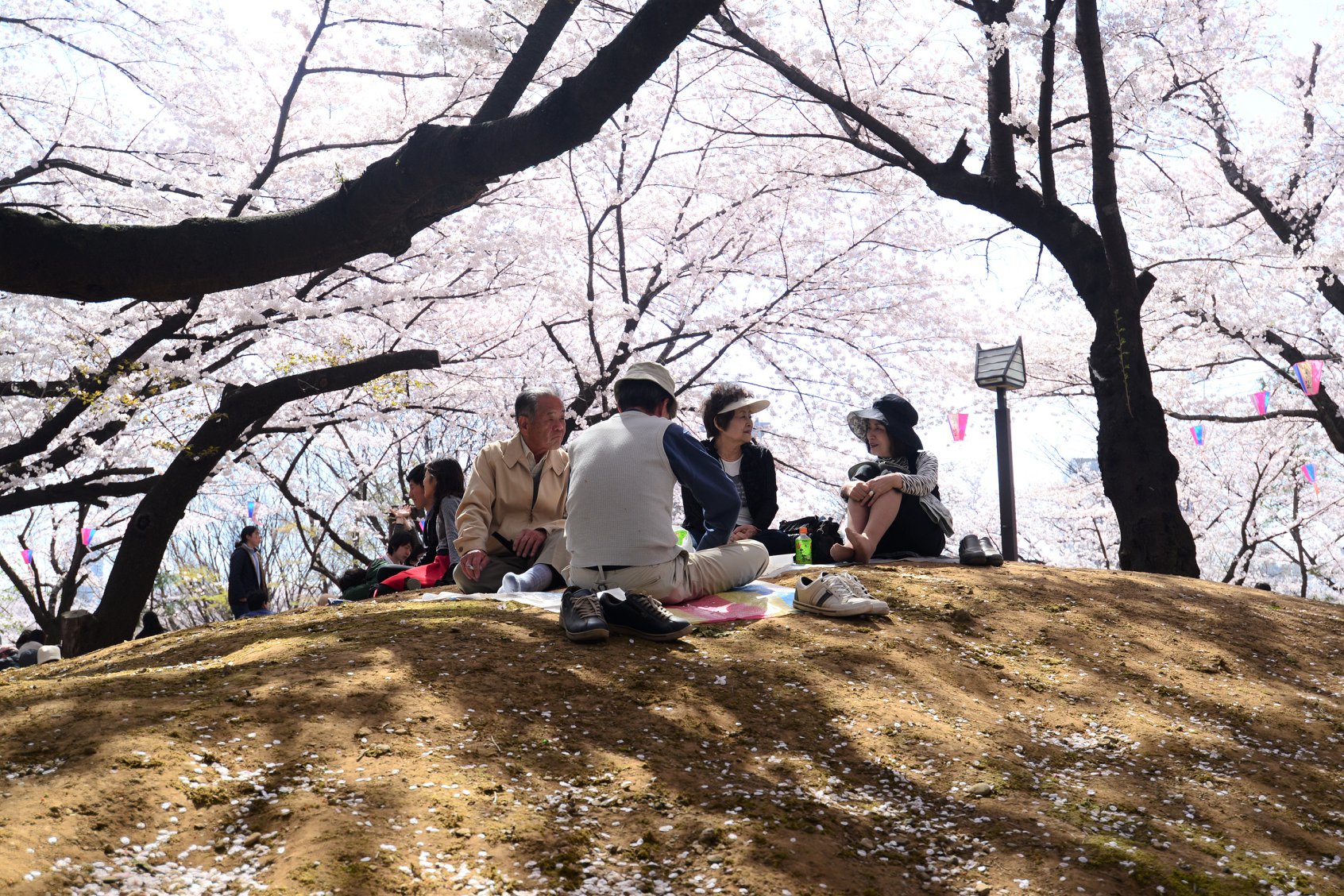 27747474_1921127288216260_8500938103413539707_o