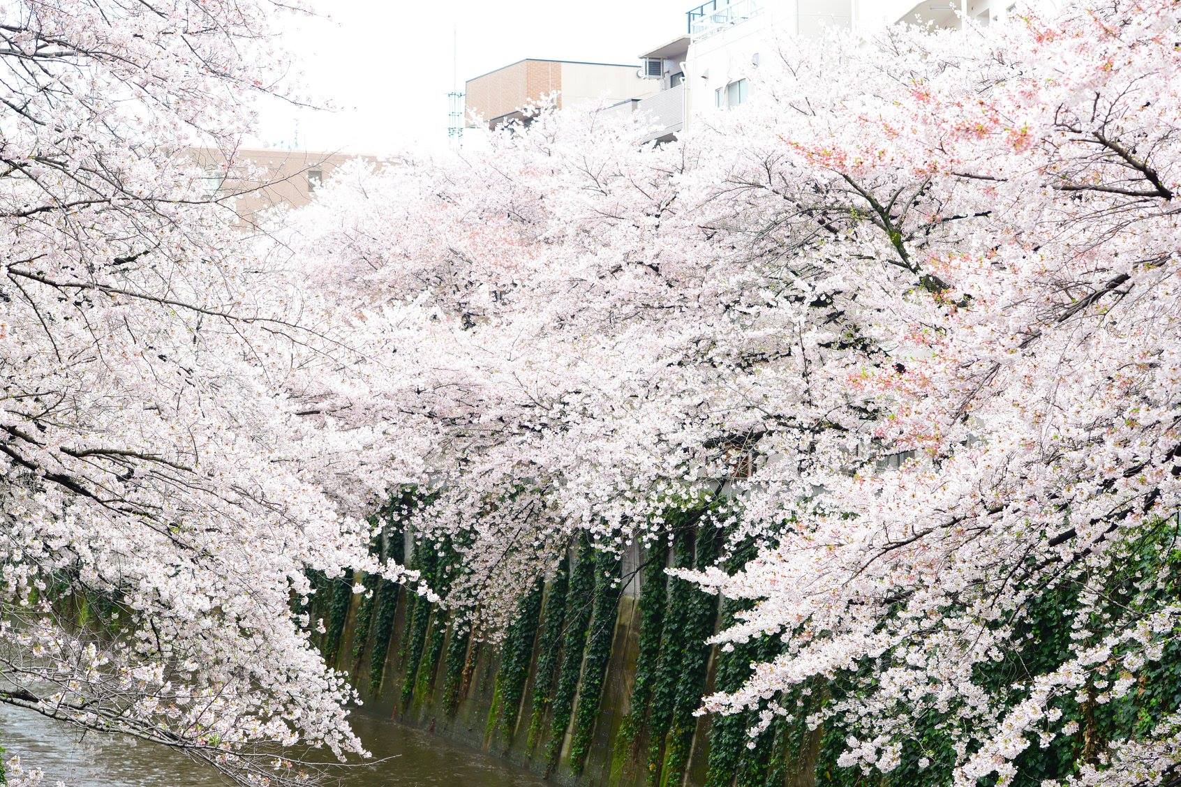 27747669_1921127131549609_3499239920610531093_o