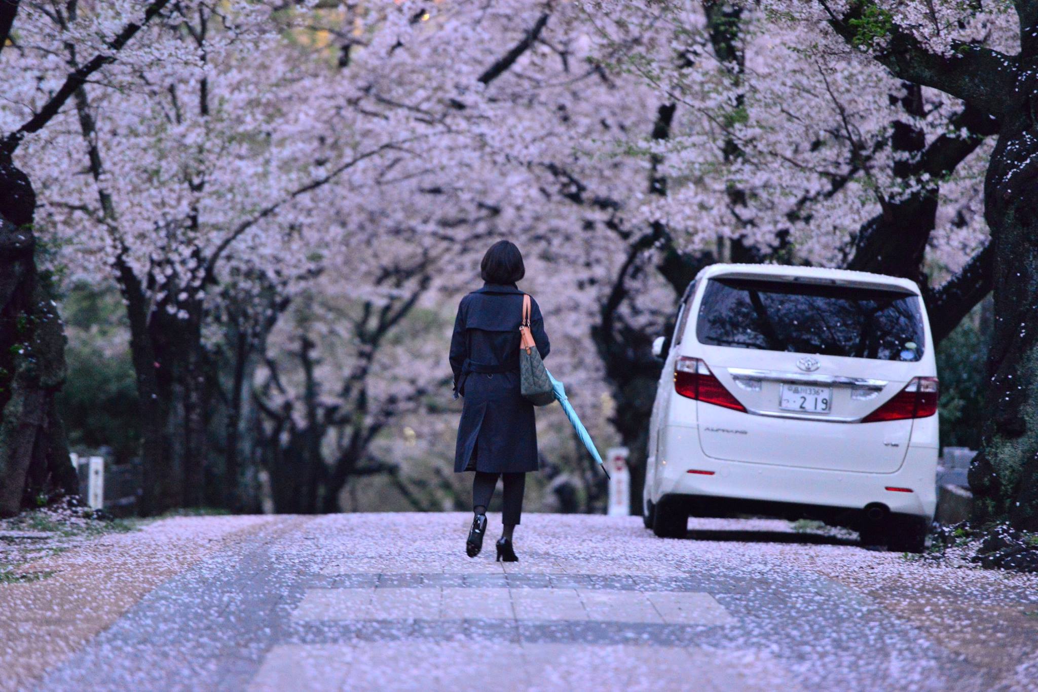 27788088_1924768921185430_2102521505402747704_o