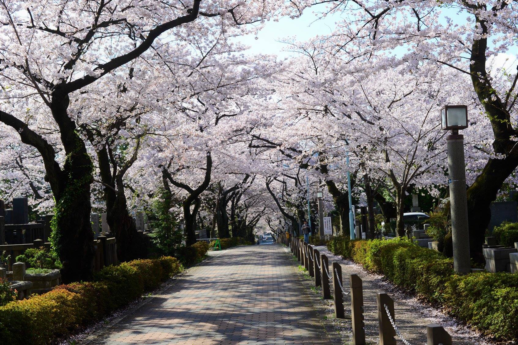 27788108_1924768984518757_145742139274921734_o