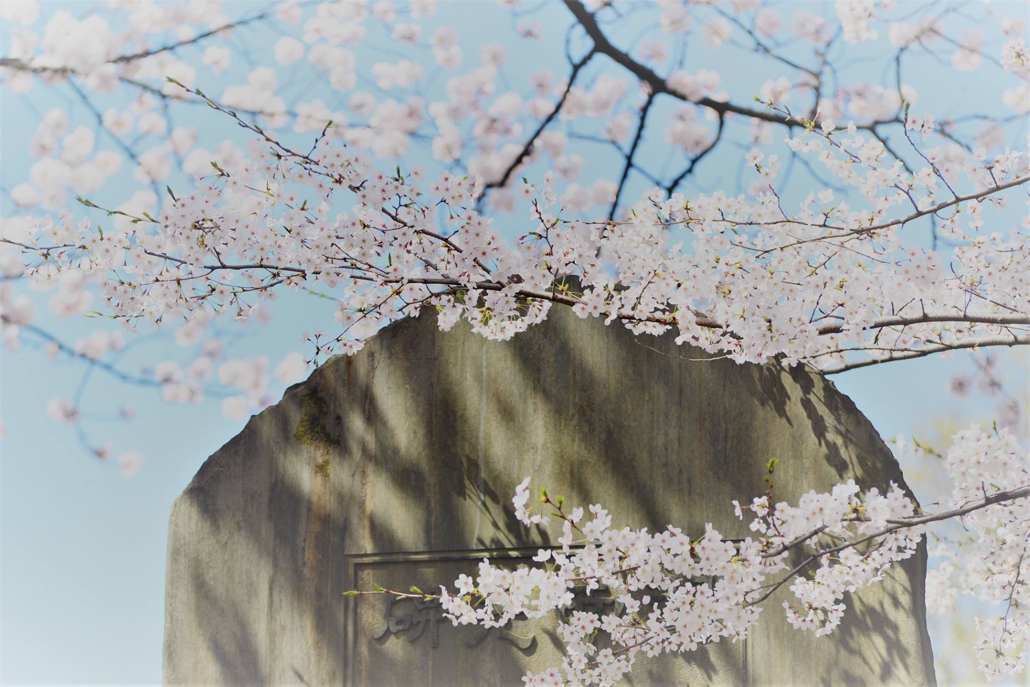 27788565_1924768751185447_857266649243477563_o