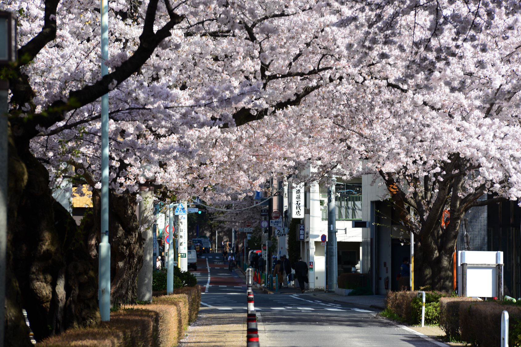 27912594_1924769001185422_4777207277102710283_o