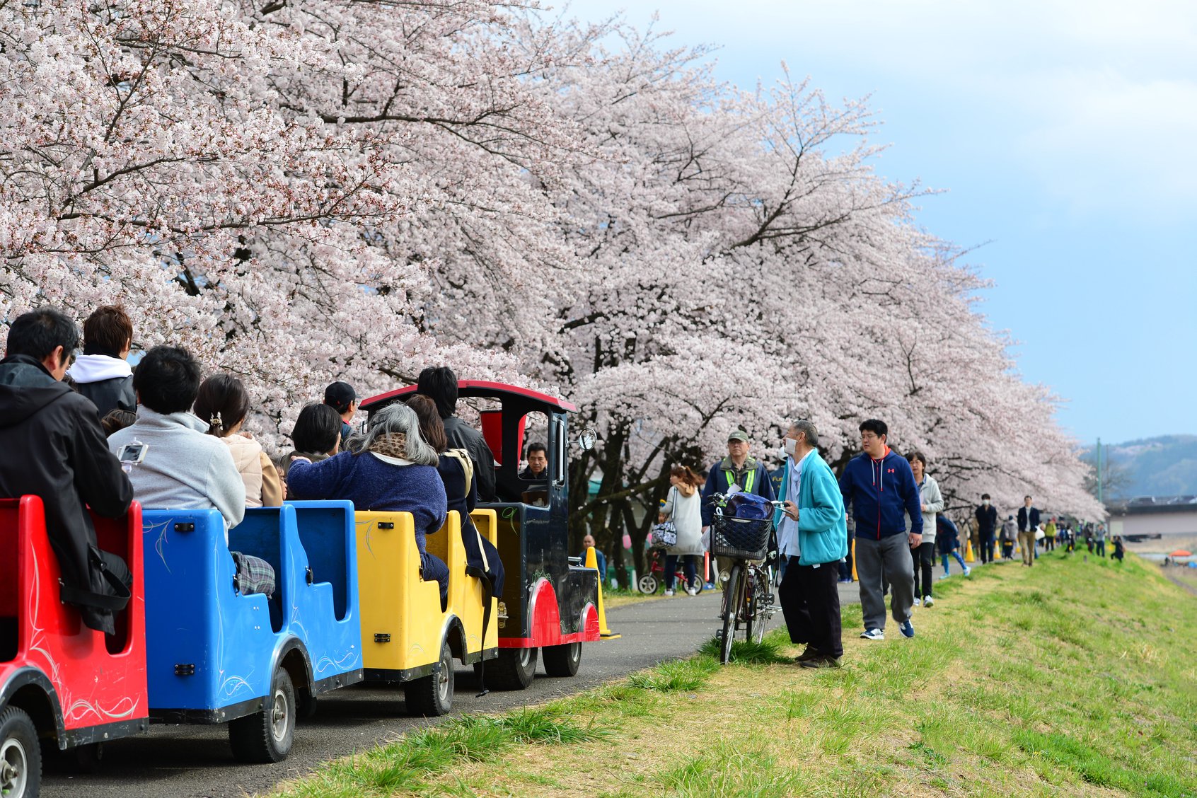 27912642_1925324677796521_8009717795436635553_o