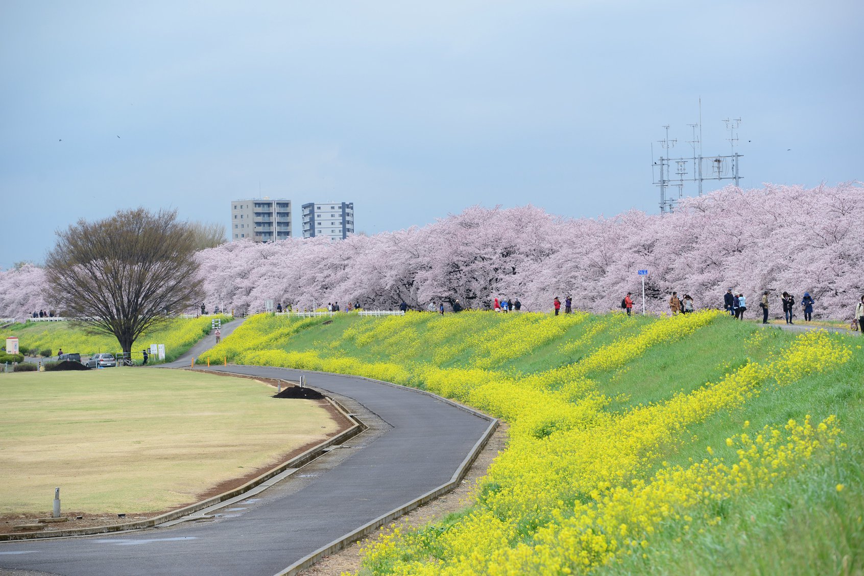 28515199_1936761766652812_6198542476993669993_o