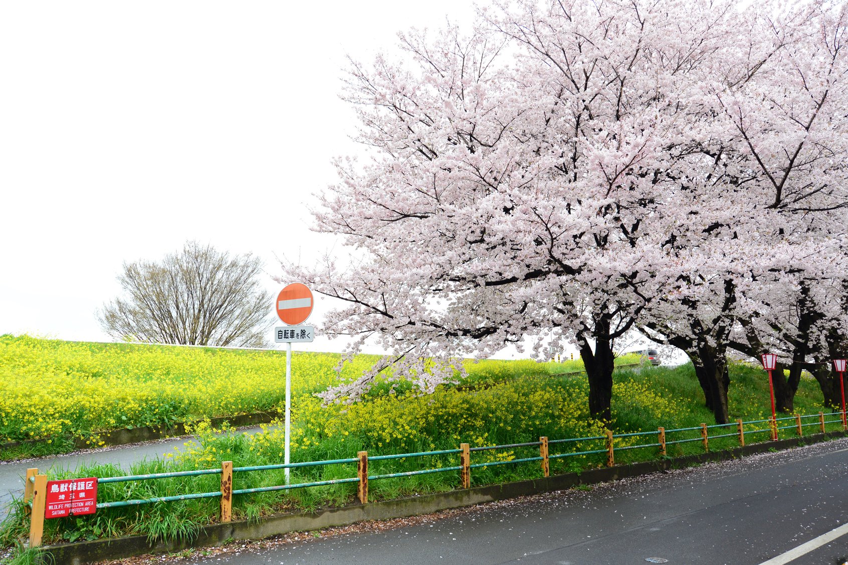 28516353_1936761529986169_5233601226315698298_o