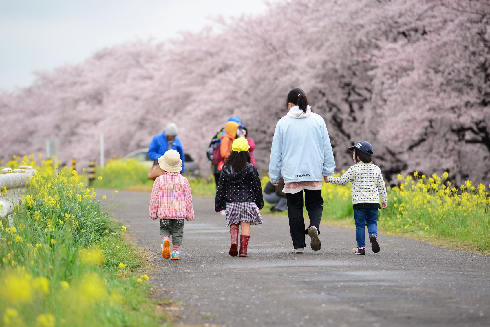 28618868_1936761623319493_7243875374409572125_o