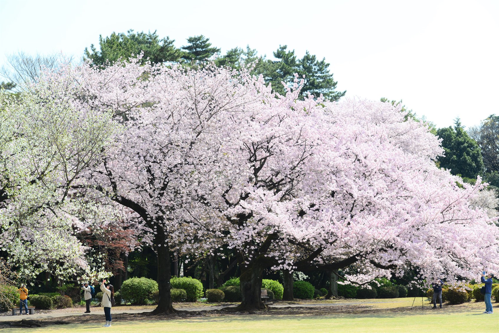 41438420_2079189045743416_446090151064502272_o