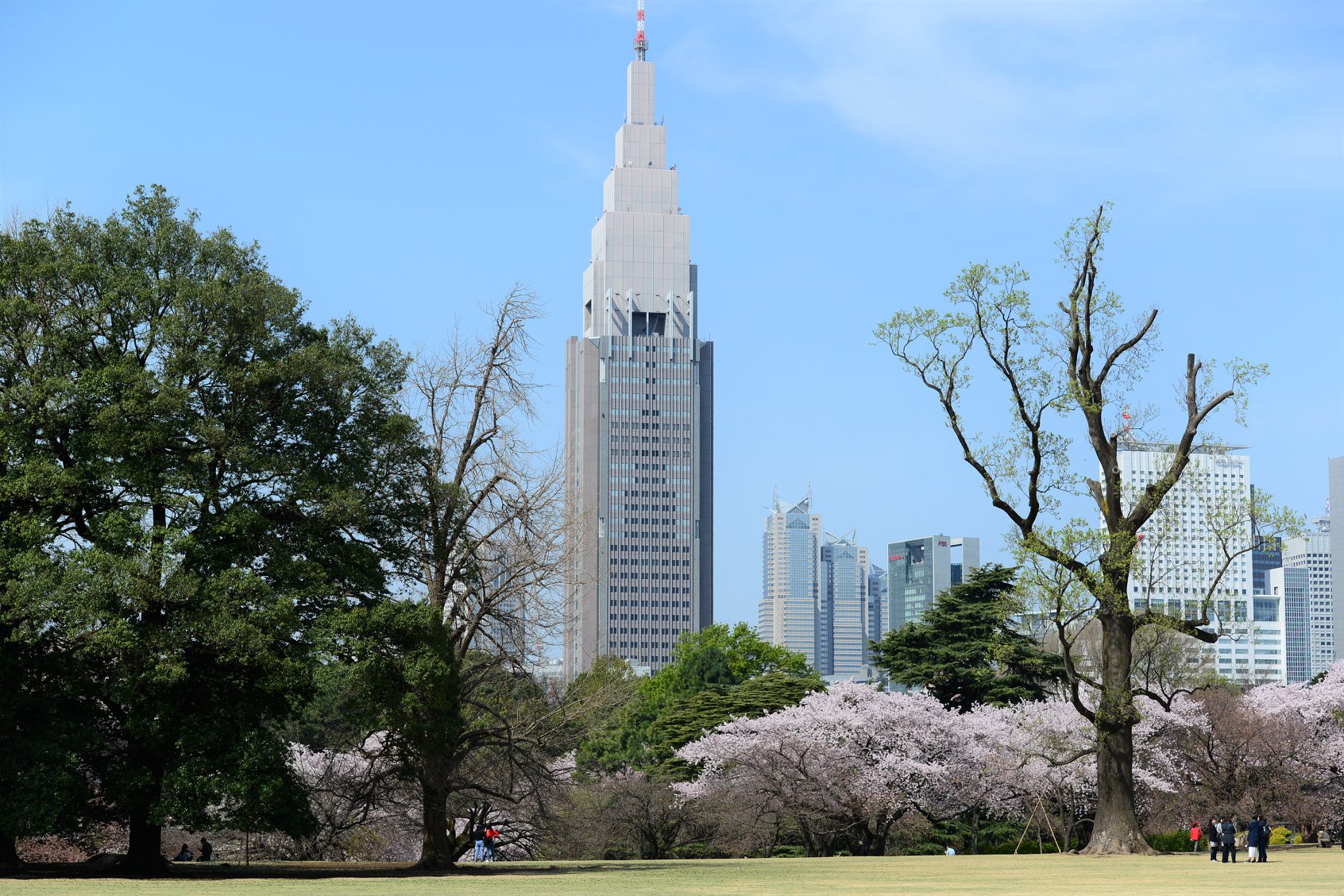 41554454_2079189005743420_3681277324793217024_o