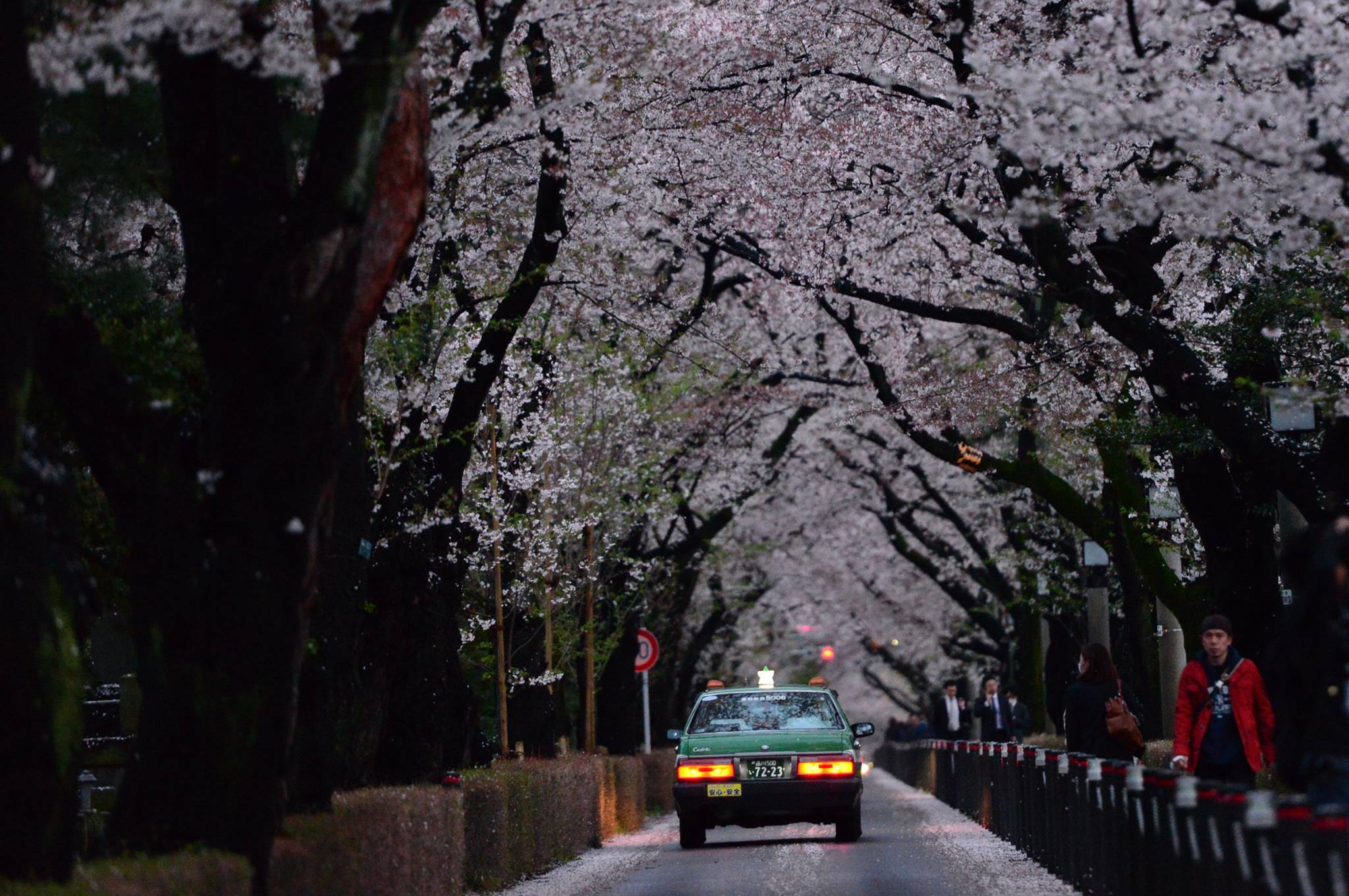 o5cj2tadcbdo7l6ly8v-o