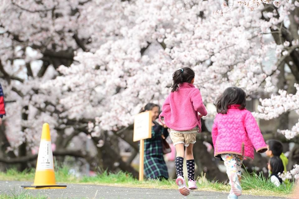 ojb4eqmnwn4esd4ZMt5-o