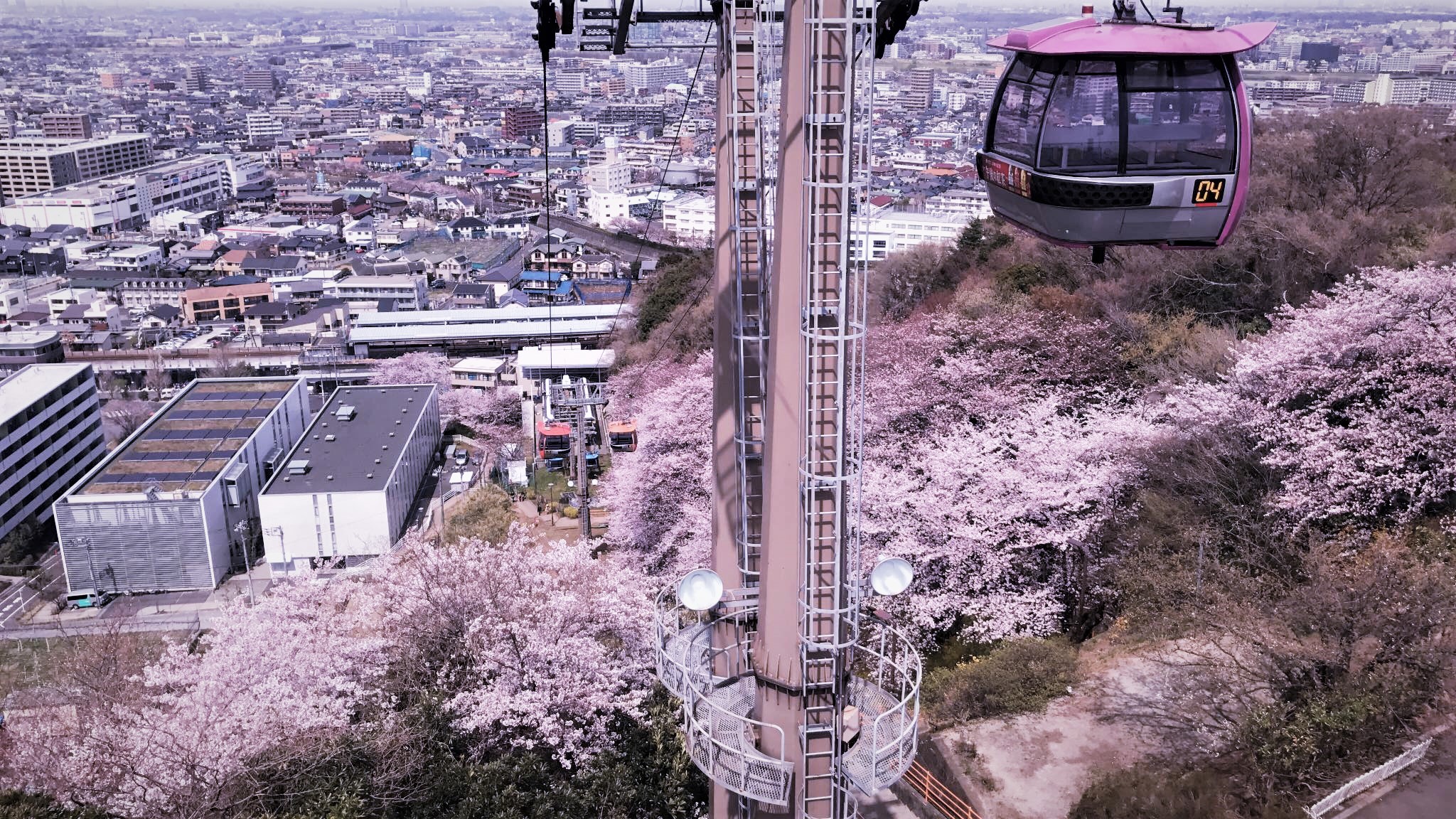 17814415_1768794490116208_4380221606570616684_o