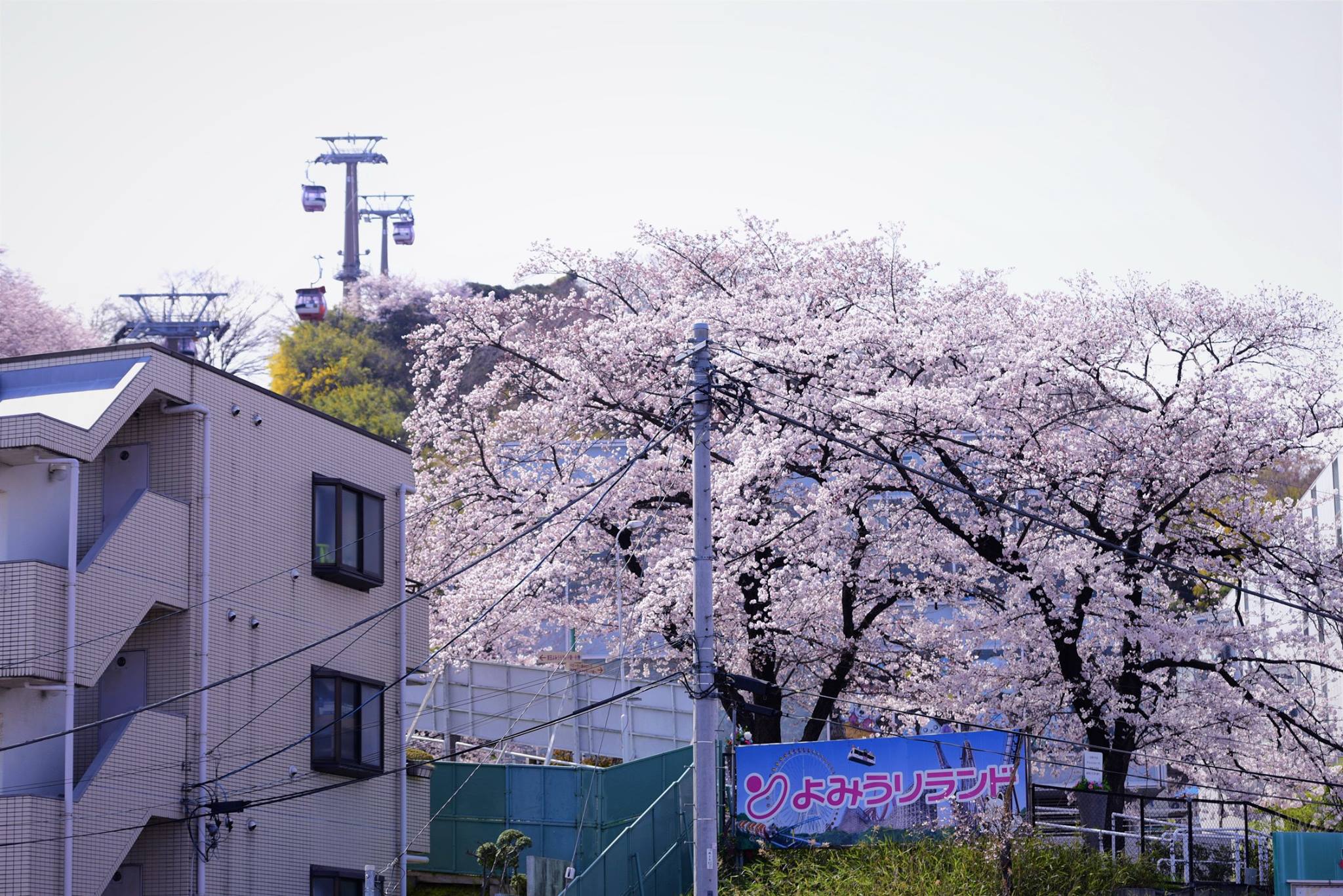 17834362_1770702629925394_4594606392672681130_o