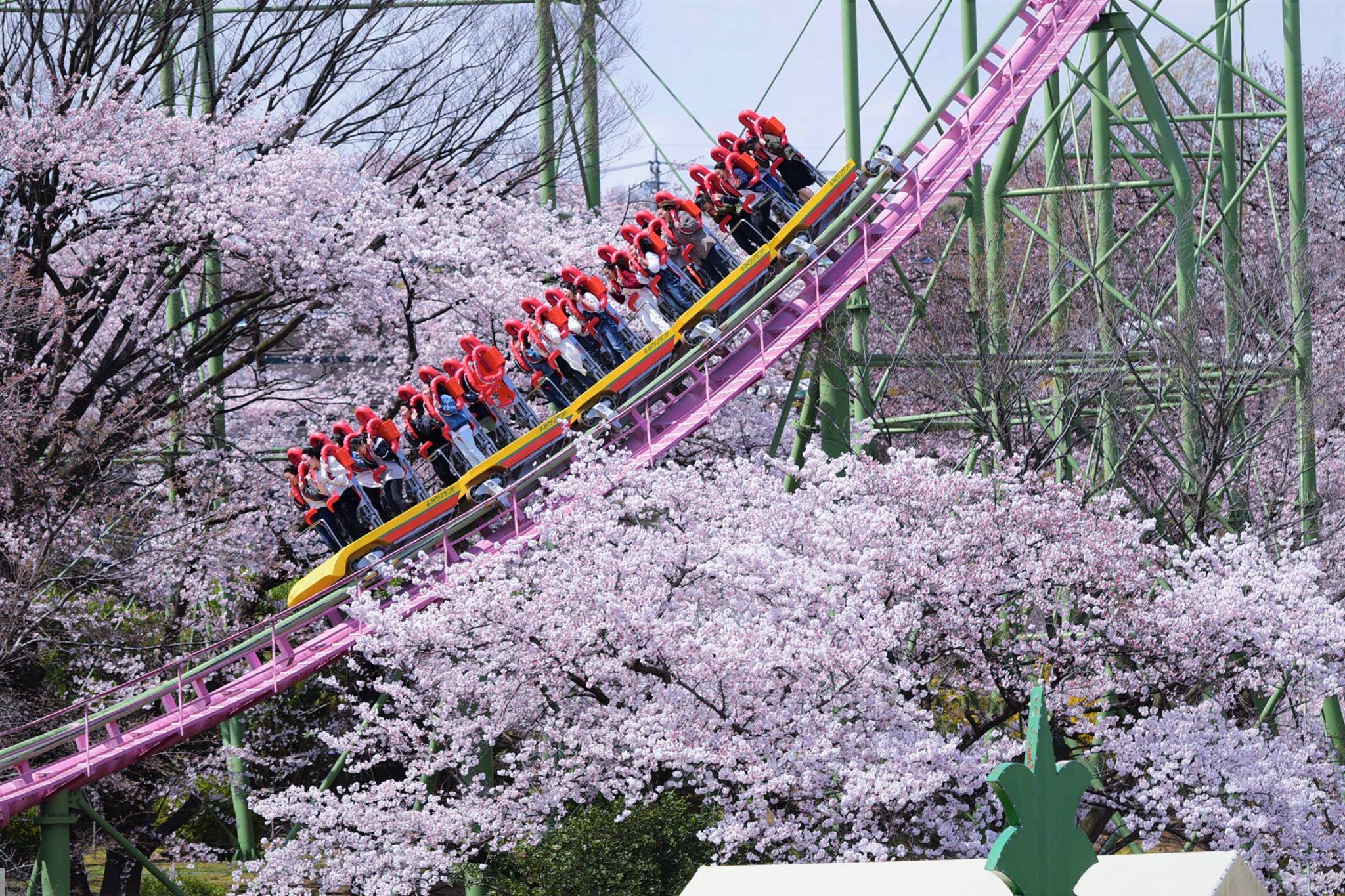 17880061_1770702169925440_2496003331896259068_o