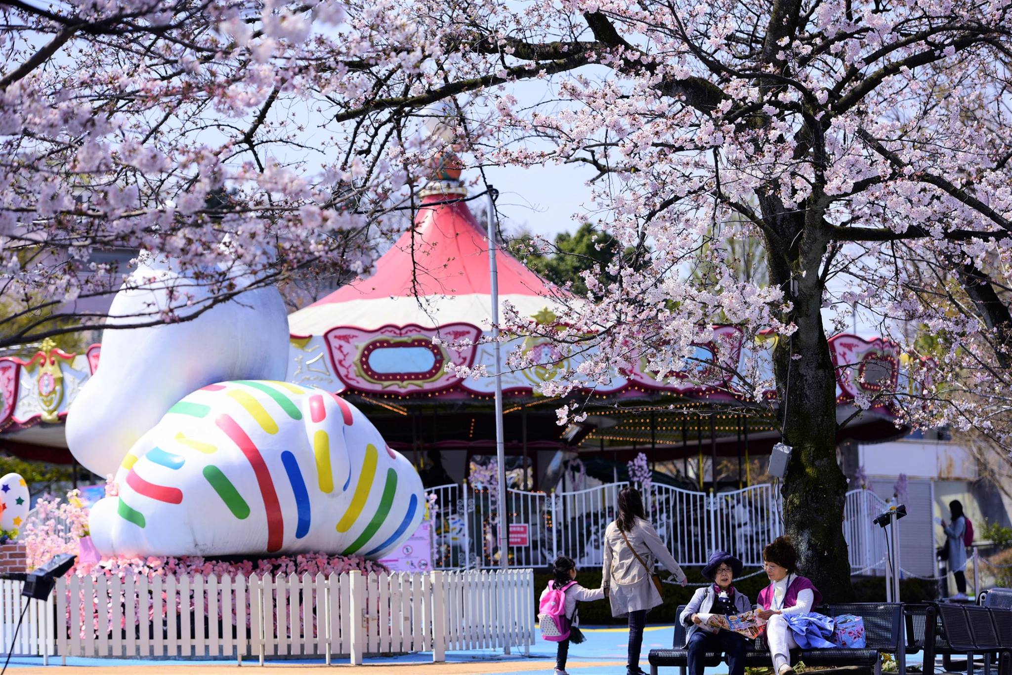 17880234_1770702506592073_4352846424227880884_o