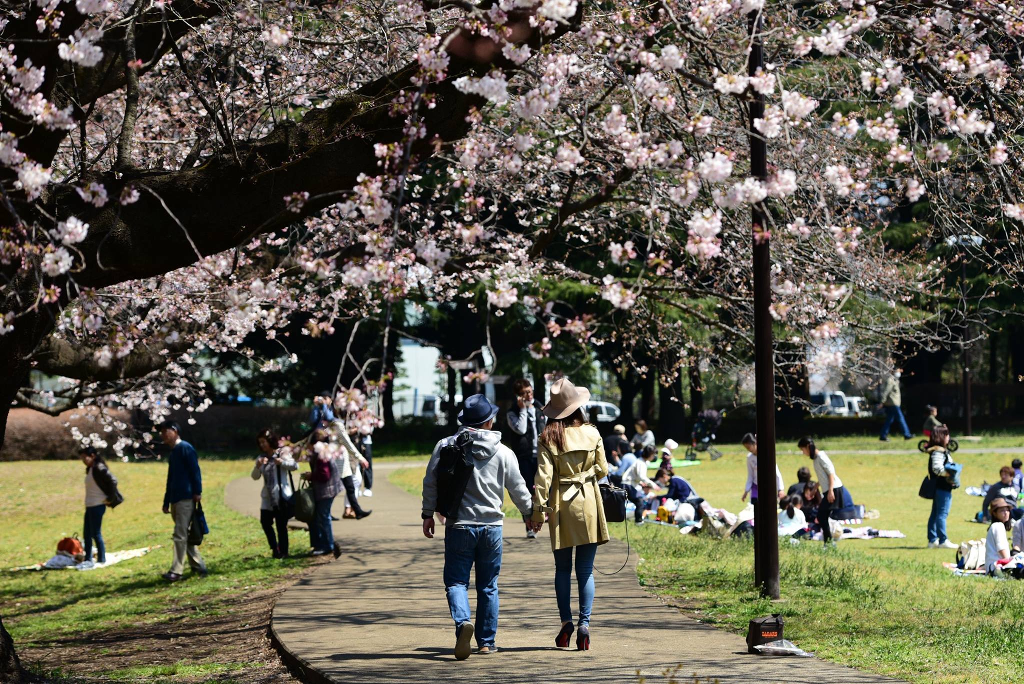 17990404_1775990626063261_7334571786094803695_o