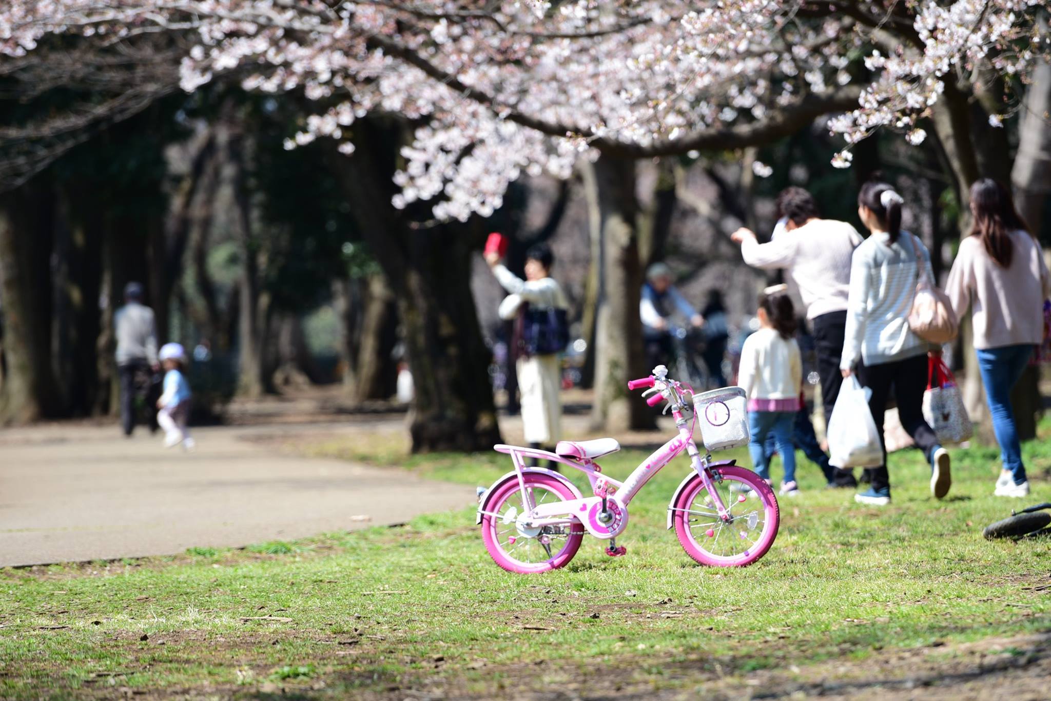 17991298_1775990296063294_1197405355694802187_o