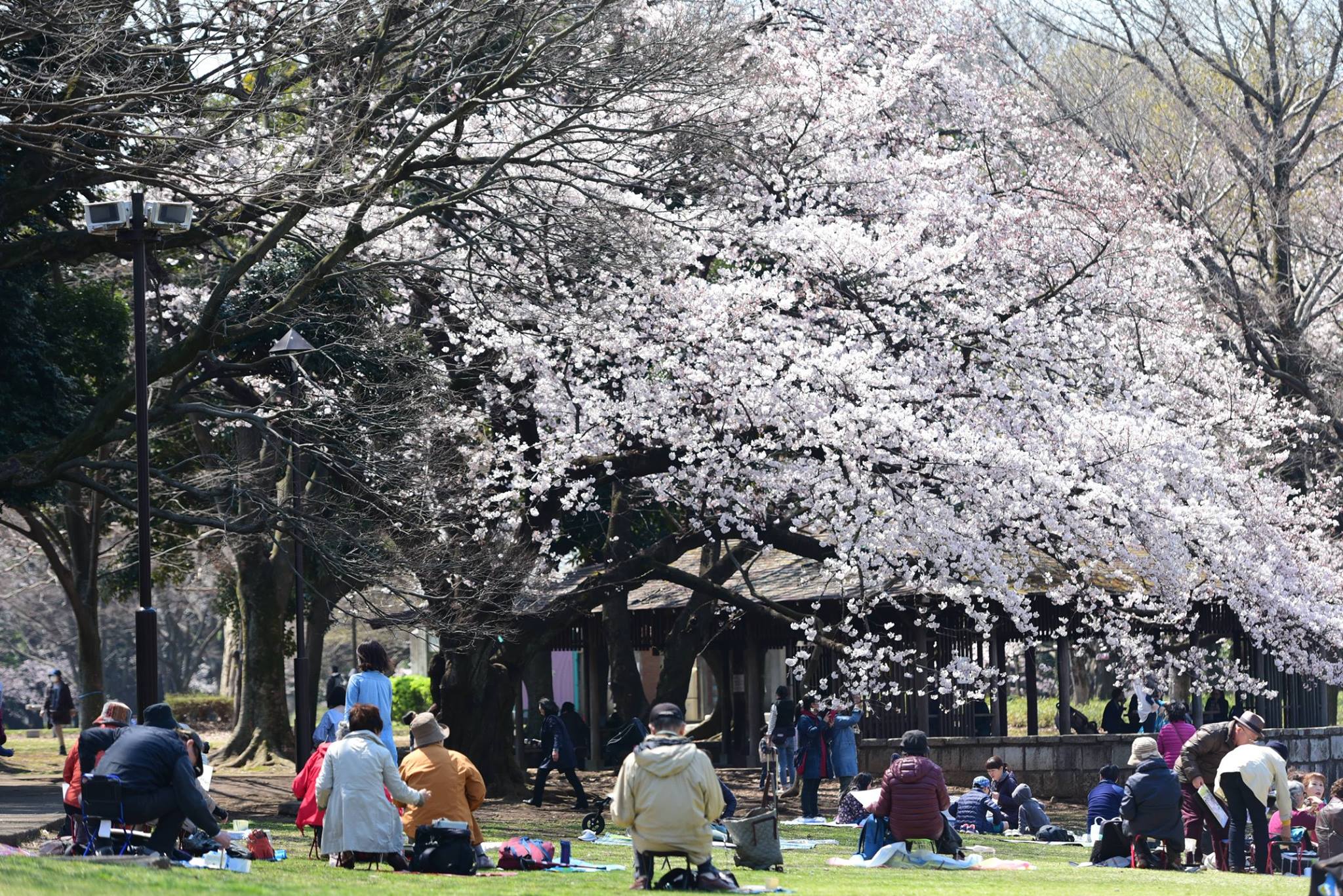 17991381_1775990439396613_1976923254192659881_o