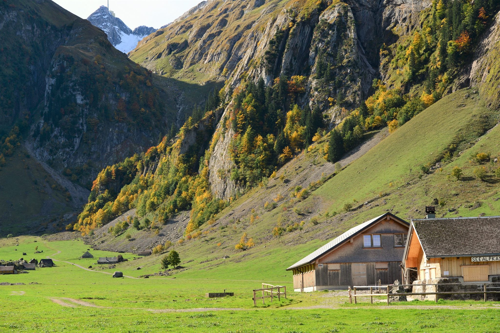 17991416_1779309739064683_6316640306747044769_o