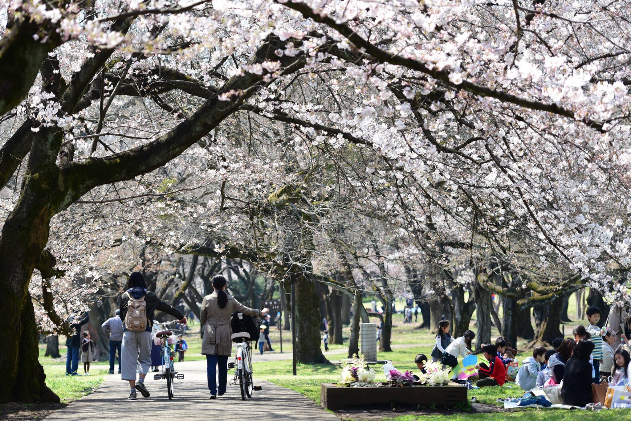 18056200_1775990816063242_1738847108195924916_o