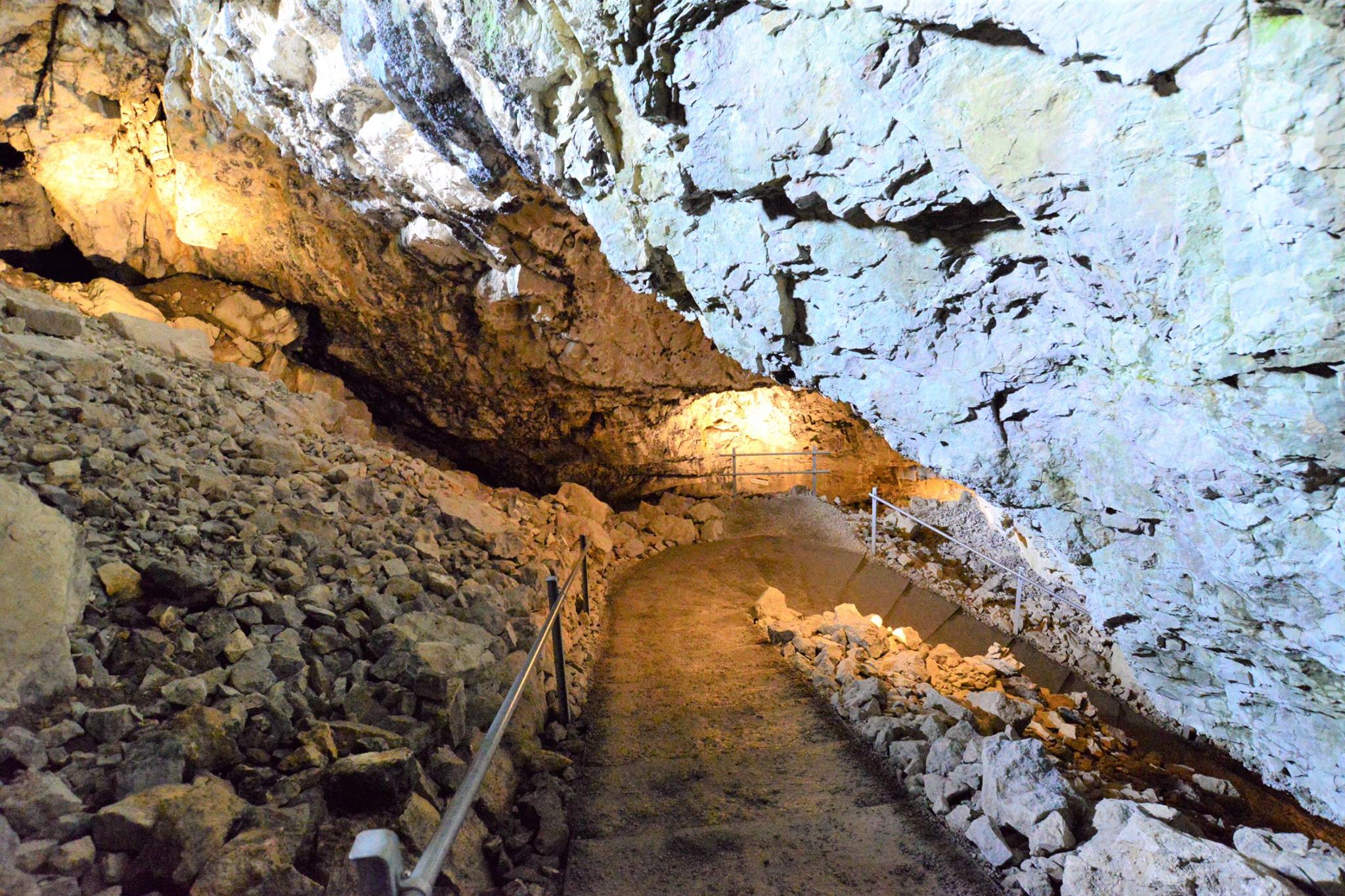 18076570_1779309785731345_8630861212692533474_o