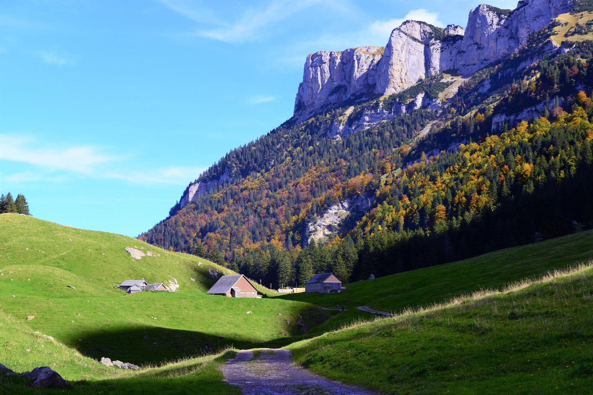 18076897_1779309795731344_717704749394951318_o