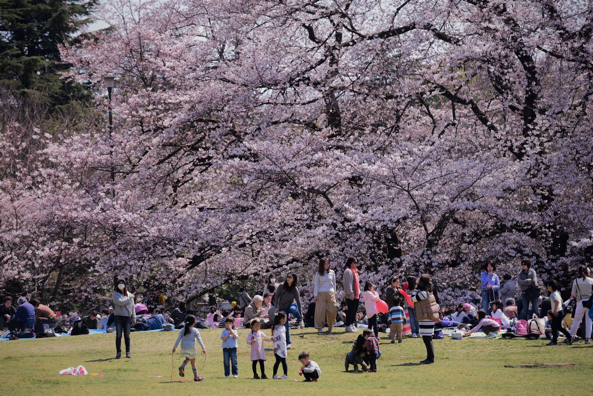 18077360_1778189329176724_5678913165915938164_o