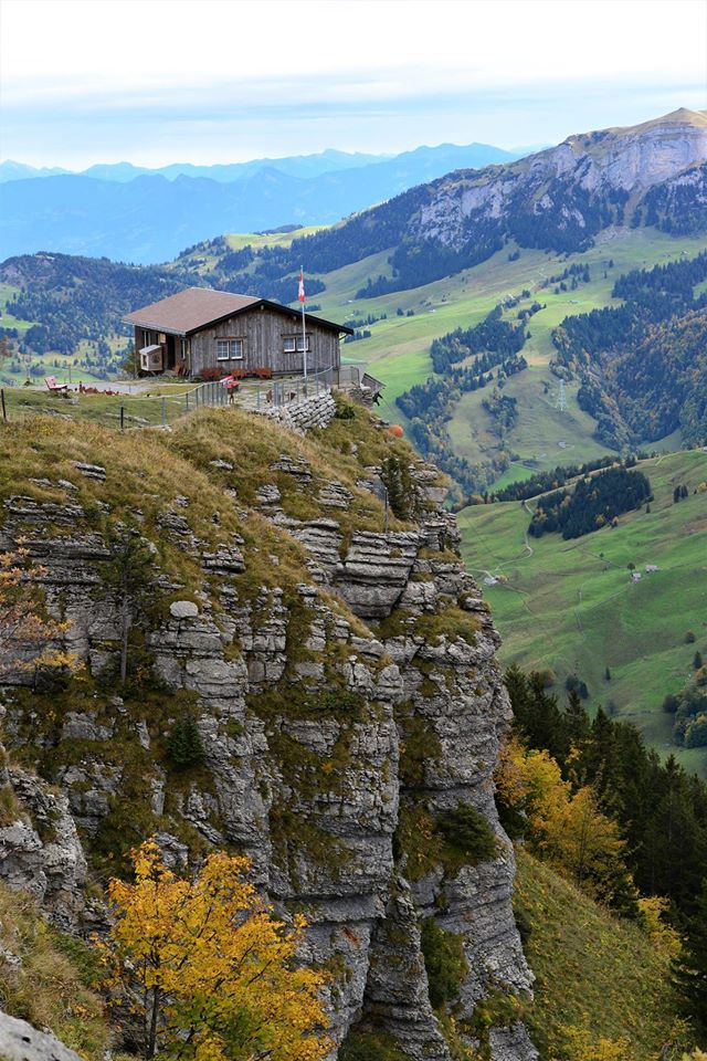 18121395_1779310002397990_1232791071768226830_o