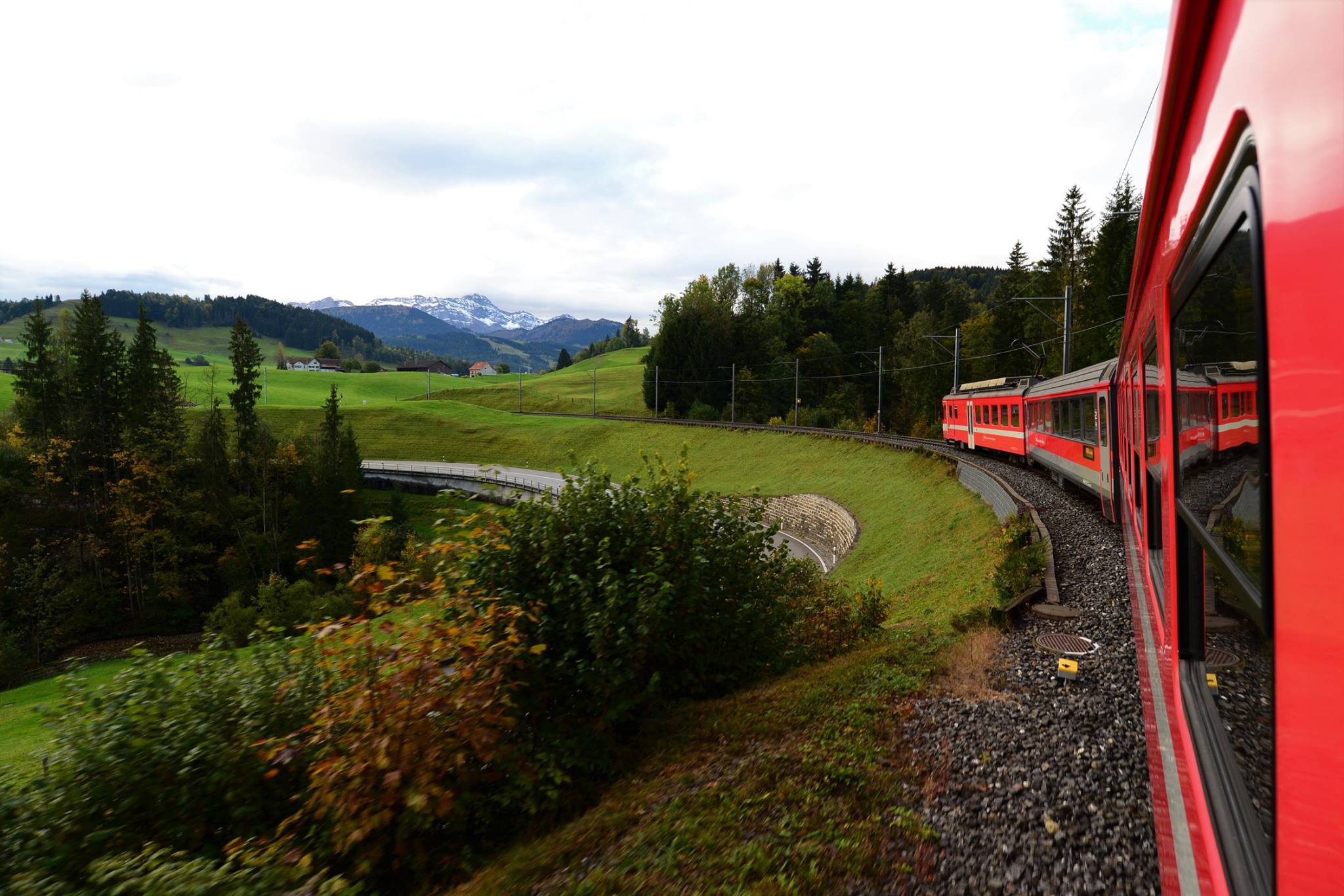 18121534_1779309905731333_6072828796289465961_o