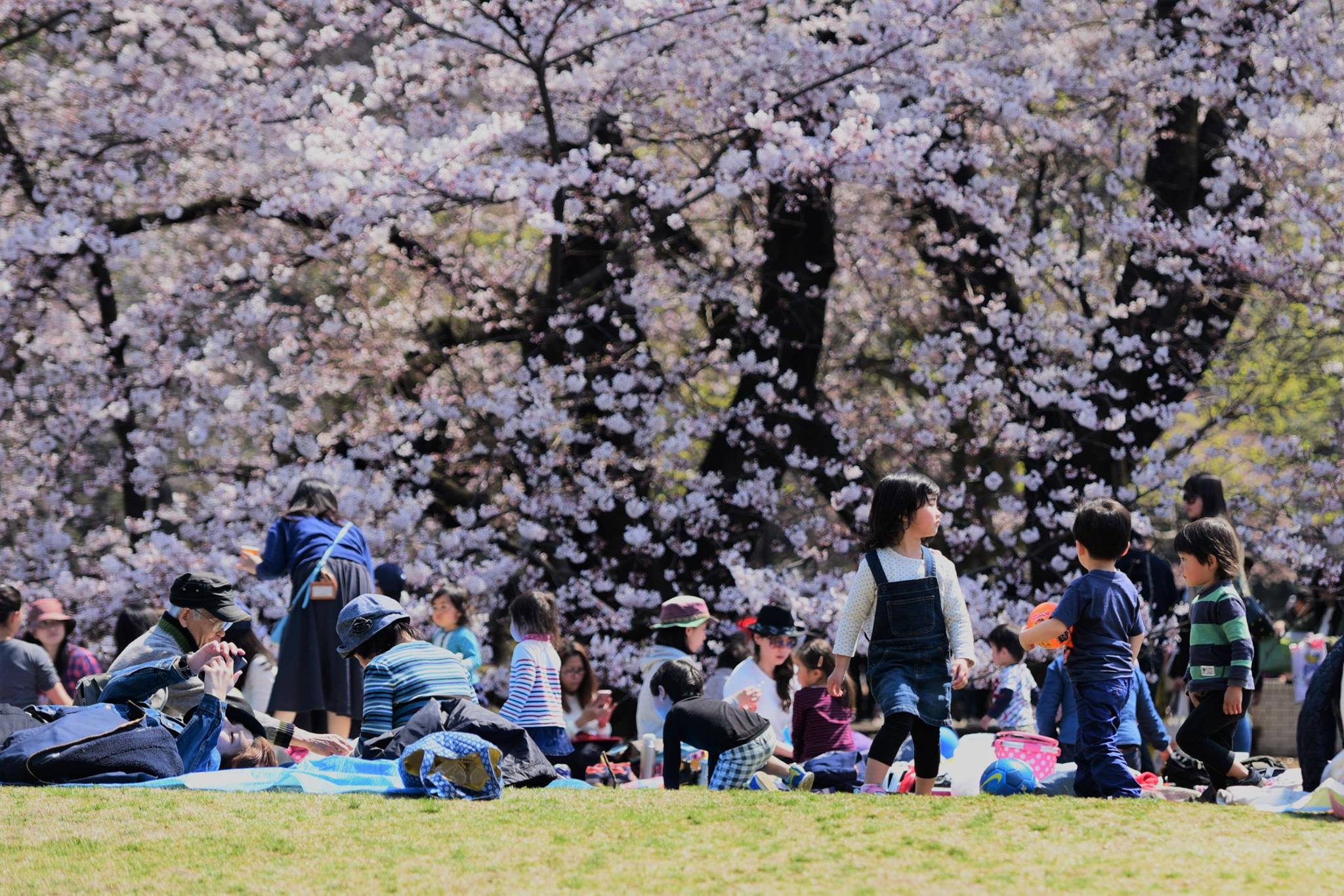 18121538_1778189495843374_2360591113812227233_o