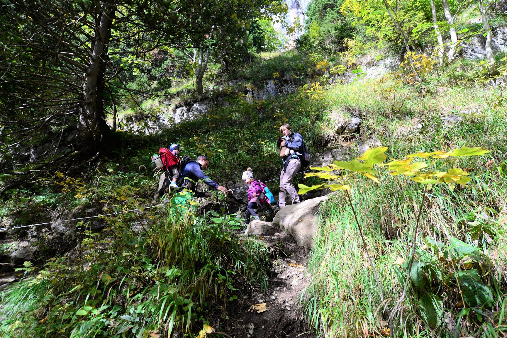 18156360_1779310145731309_7170805016911057719_o