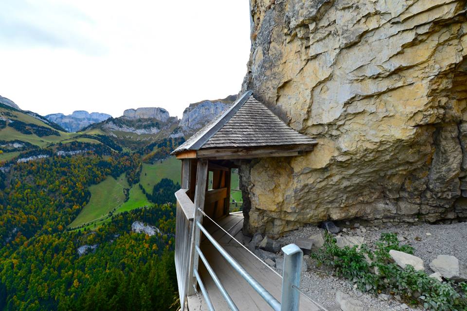 nxe1436dktDzT4i0nPs-o