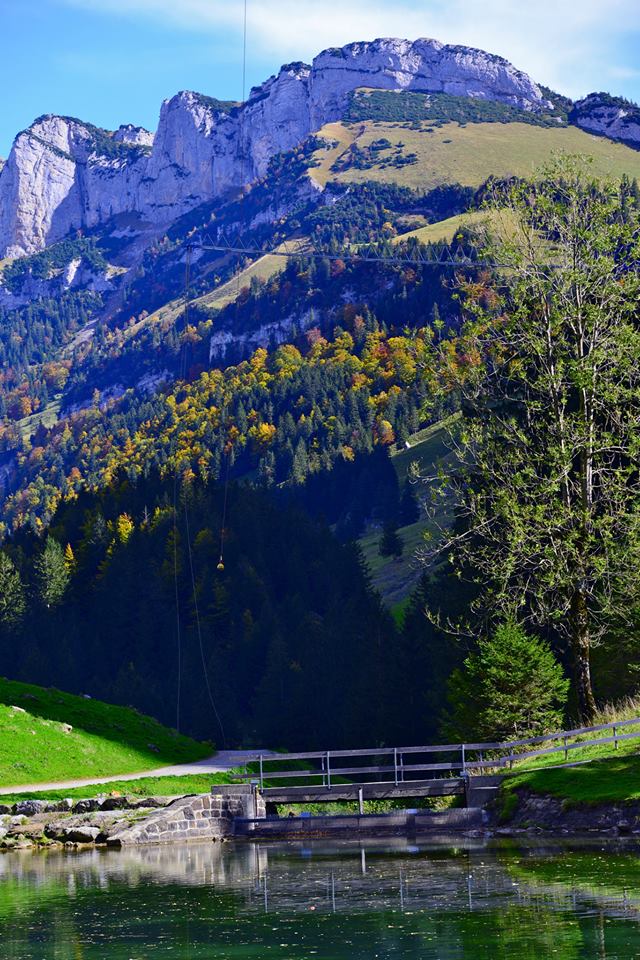 nxe2evireiFye8IoDot-o