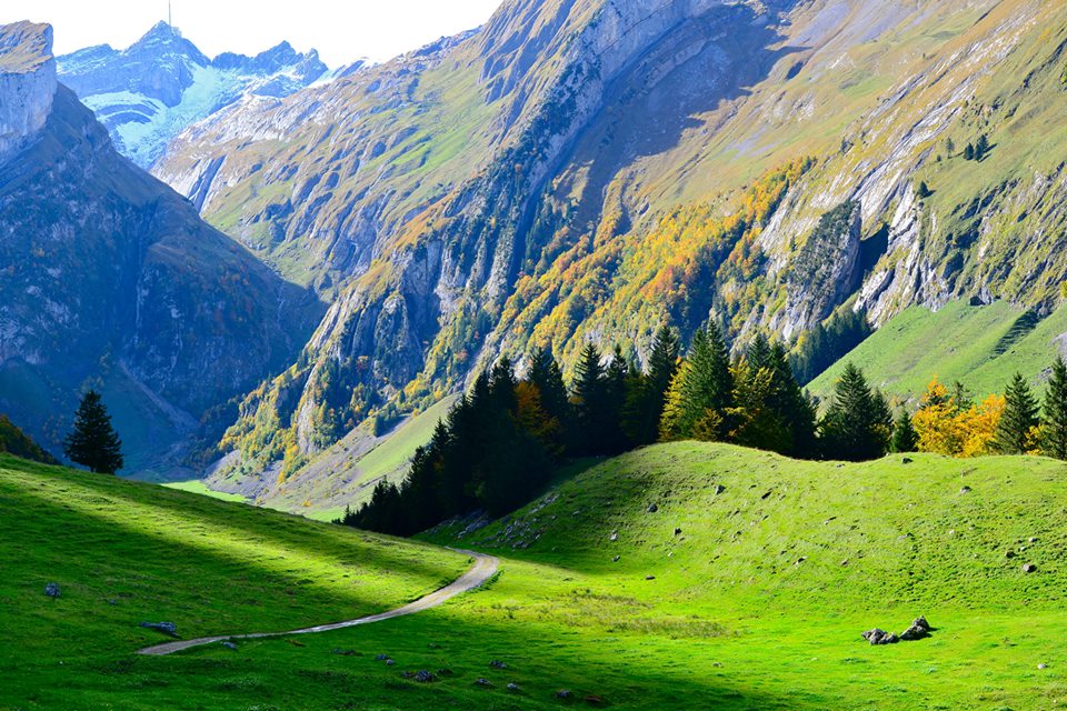 nxe2vde3j8v5CYTWo6t-o