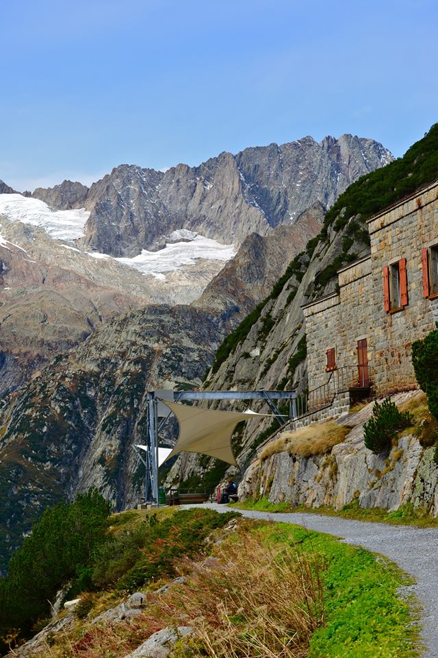 nxlsp5jziqaJ2YEnw0k-o