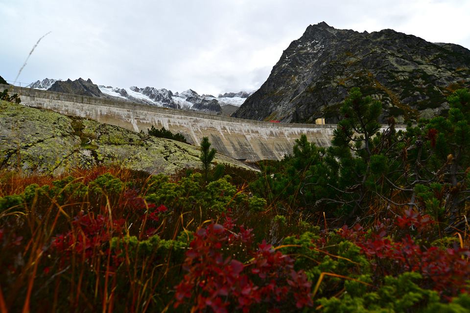 nxlsteihdlzyqgAG4eR-o