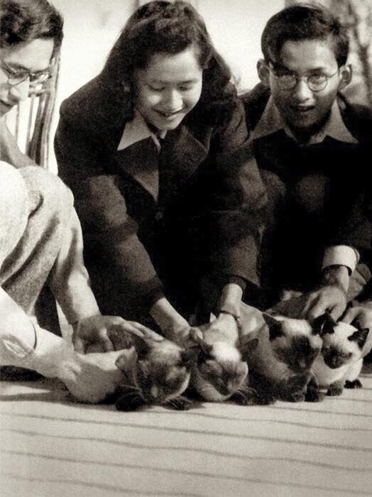 13394089_976090629174499_5319406208273365359_n